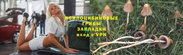 прущие крисы Балабаново