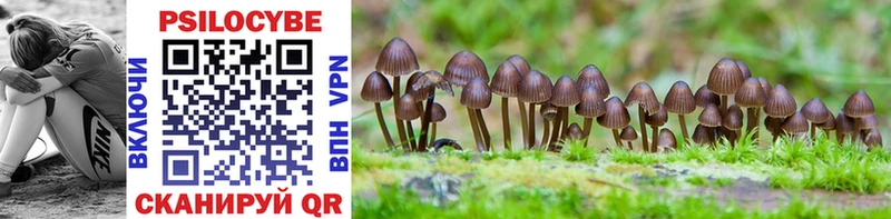 даркнет сайт  Краснокаменск  Галлюциногенные грибы Psilocybe 
